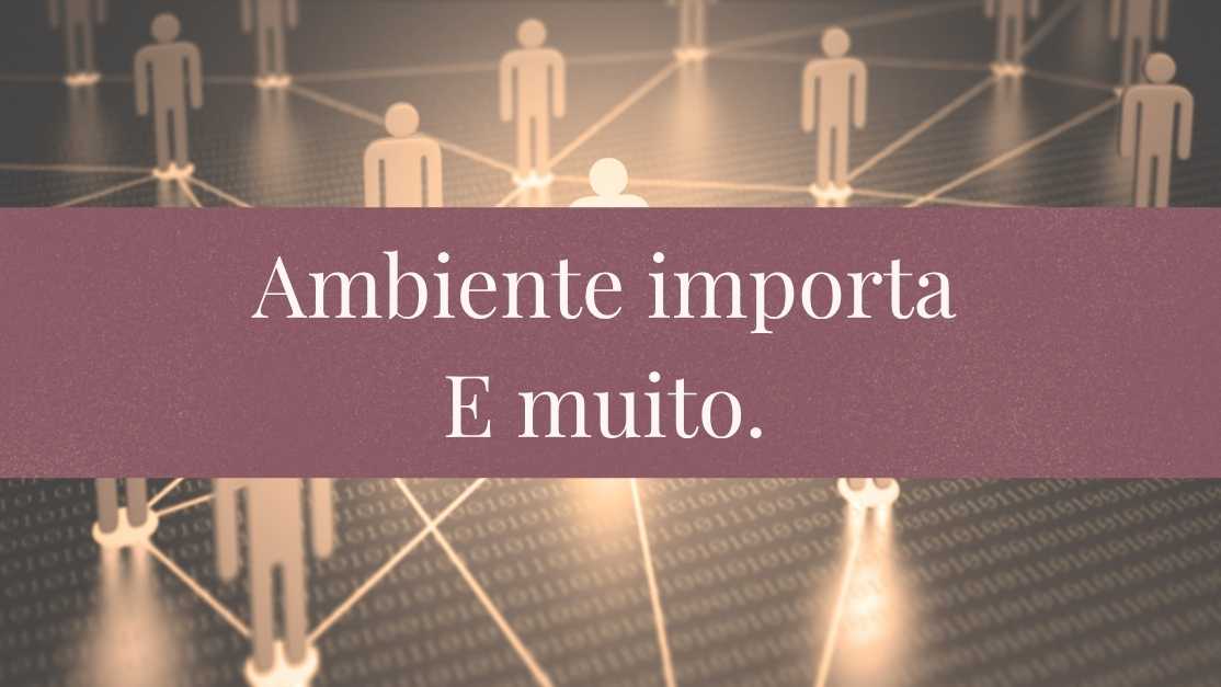 O ambiente correto é seu maior ativo